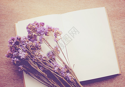 空白笔记本和干枯静电花 带有逆向过滤器effec植物生活静电艺术植物群紫色日记花瓣季节花束图片