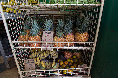 菠萝蔬菜展示食物热带水果商背景图片