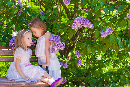 鲜花树背景的可爱小姑娘们图片