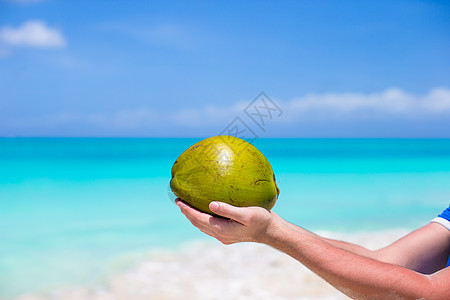 把椰子紧紧握在手中 对抗绿绿海热带饮食蔬菜棕榈食物女士假期美食天空海滩图片