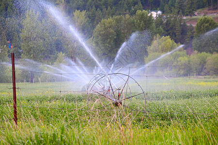 灌溉生长管道干草乡村丘陵地平线飞沫绿色洒水器牧场图片