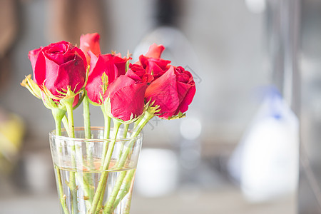 花瓶中盛开的红玫瑰图片