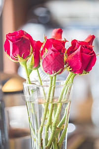 花瓶中的红玫瑰花束礼物生日婚礼植物群玫瑰花瓣念日展示团体假期图片