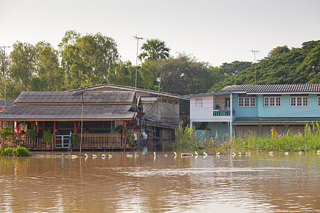 泰国的房屋洪涝季风救援房子保险热带危险雨滴灾难旗帜损害图片