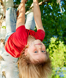 被吊在树枝上的儿童享受童年红色乐趣孩子公园快乐桦木微笑情感图片