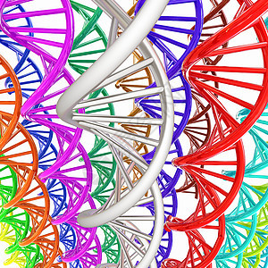 DNA结构结构模型背景遗传学制药科学测试螺旋克隆细胞基因药店液体图片