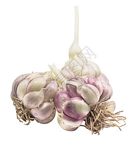 白色背景上隔离的大蒜和根根芳香香味草本植物健康灯泡调味品香料食物味道工作室图片