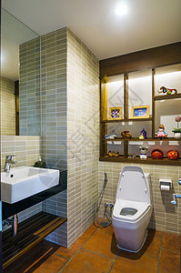 优雅的洗手间隐私照明龙头家具浴室住宅房间装饰奢华风格图片