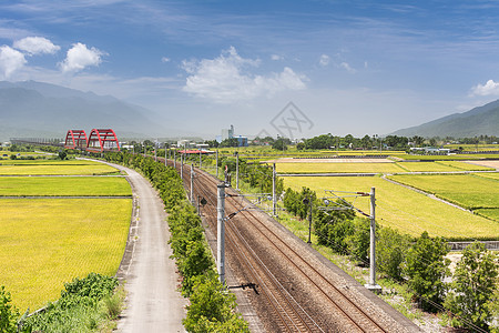 稻田景观粮食国家农村风景天堂蓝色天空季节场地牧歌图片