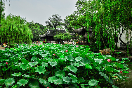 上海中国花园市中心场景商业吸引力地平线地标摩天大楼中心办公室海岸图片