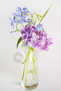 美丽的春花玻璃植物风格紫色蓝色礼物婚礼装饰卡片花束图片