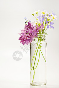 美丽的春花卡片花瓶玻璃植物花瓣植物群风格庆典礼物装饰图片