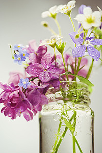 美丽的春花玻璃季节卡片花瓣风格蓝色花瓶植物植物群花园图片