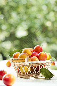 李梅团体果汁李子饮食木头水果甜点季节营养生活图片