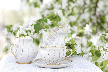 开花花园的茶飞碟婚礼牛奶装饰季节盘子茶壶叶子花园早餐图片
