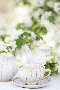 开花花园的茶野餐花瓣叶子装饰风格杯子季节早餐牛奶茶壶图片