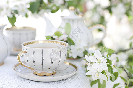 开花花园的茶茶壶食物水壶花瓣野餐季节液体盘子杯子叶子图片