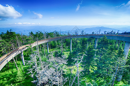 大烟雾山国家公园旅游公园天空阳光鱼眼山脉追求森林勘探圆顶图片