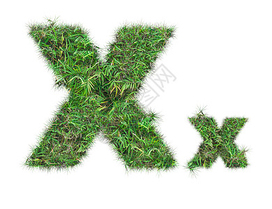 绿草隔离处X字母 X图片