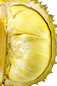 在白色背景上被孤立的剥皮德瑞安近距离靠近荆棘热带榴莲情调营养气味异国水果尖刺食物图片