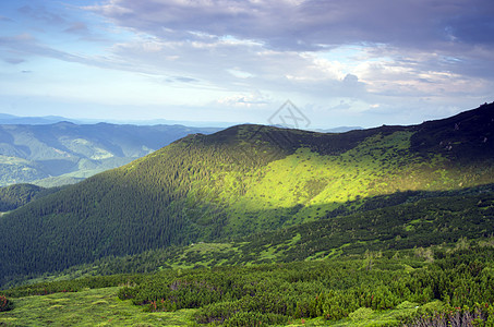 美丽的景色从山上看 月光下有侏儒松顶峰远景全景树木旅行荒野高度森林蓝色公园图片