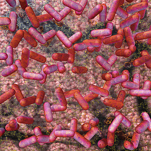 EHEC 欧经会渲染腹泻病原体杆菌细菌流行病营养疾病食物大肠杆菌图片
