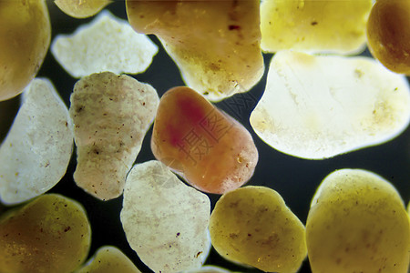 沙粒的微摄影科学矿物砂粒谷物材料碎石摄影显微镜极化纹理图片