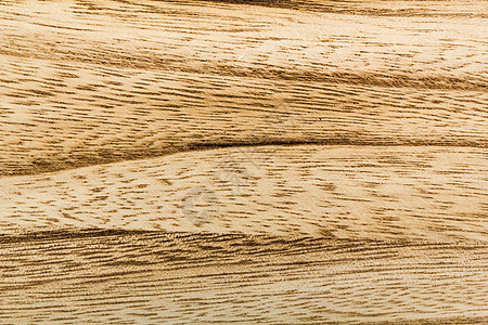 木质纹理 背景木板木头摄影木材木地板橡木树干松树材料粮食图片