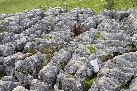 英国约克郡Malham Cove的Limestone山坡图片