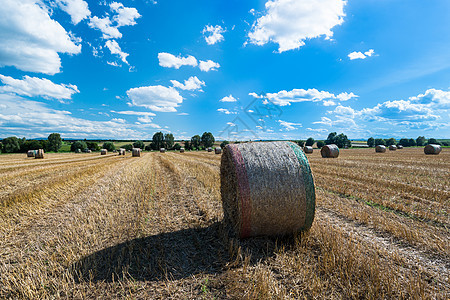 球场上的Hay篮子场地小麦季节收成太阳天空土地风景干草稻草图片
