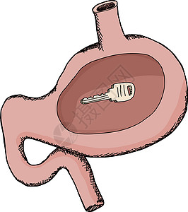 Stomach 中的隐藏密钥图片