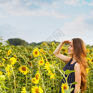 有向日葵的漂亮女孩卷曲农场天空季节晴天女孩花朵头发幸福村庄图片