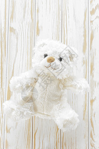 泰迪熊柔软度孩子乐趣动物婴儿童年玩具白色礼物毛皮图片