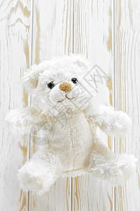 泰迪熊白色孩子婴儿乐趣柔软度毛皮玩具礼物动物童年图片