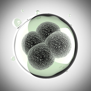 微型细胞分裂过程药品克隆怀孕生物微生物学卵子研究生活受精卵卫生图片