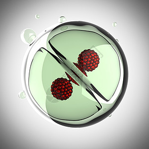 微型细胞分裂过程生物学怀孕科学施肥显微镜生育力细胞质保健胎儿生物图片