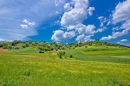 克罗地亚的古德型社会文化绿色景观图片