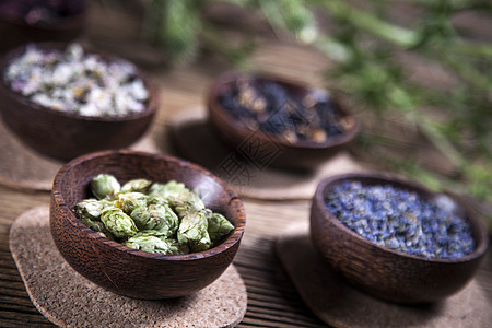 古代中药水果绿色食物香料木板药品植物草本医疗草本植物图片