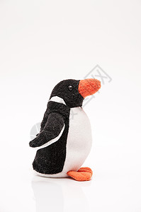 填充企鹅玩具乐趣白色自然动物野生动物图片