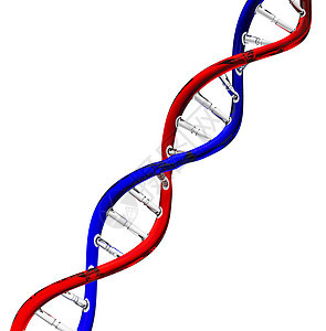 dna 数据图片