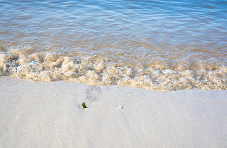 清晨波端特写海岸波浪状支撑假期软糖波浪乐趣海浪海滩海洋图片