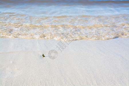 清晨波端特写波浪状软糖支撑海浪乐趣旅游海滩波浪假期海洋图片