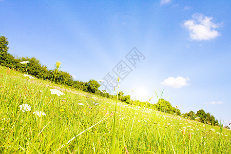 夏日阳光照耀的荒原草坪风景场地天空植物生长环境生态农村农场季节图片