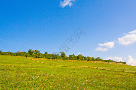 夏日的长春草原环境农村花园风景栅栏天空地平线生长阳光季节图片