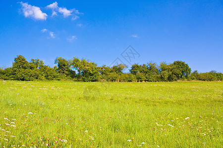 夏日的长春草原植物地平线生长环境全景土地国家天空花园栅栏图片