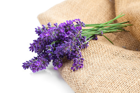 白底的花朵 在薄饼上 在白色背景上熏衣草疗法麻布光束植物农村紫色化妆品花束香味图片