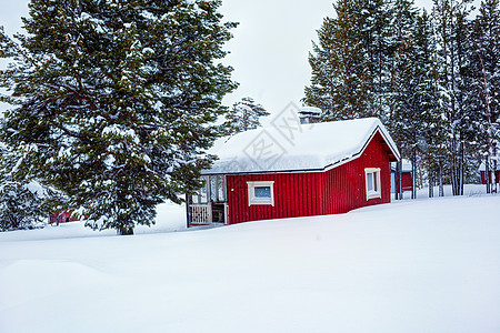 芬兰语房屋季节风景建筑小屋森林孤独针叶树建筑学窗户天空背景图片