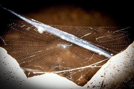 洞穴中的蜘蛛网图片
