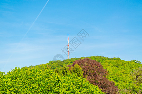 传送塔收音机电磁地化合物数据桅杆森林干扰电磁电源线传输背景图片