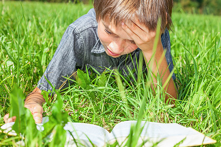 户外儿童阅读书童年场地男生孩子文学公园草原阳光专注智力图片